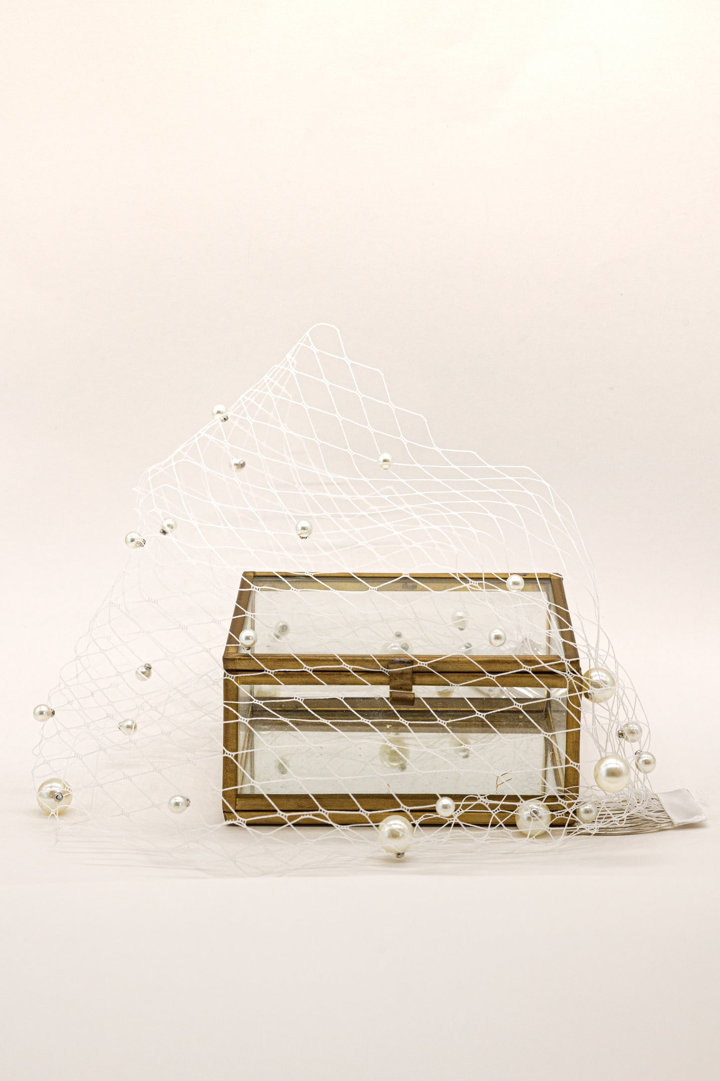 Ila Pearl Birdcage Veil
