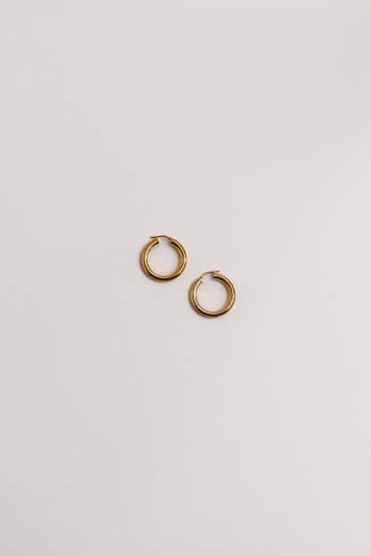 Pisces Hoops Gold