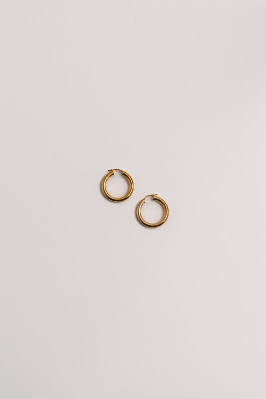 Pisces Hoops Gold